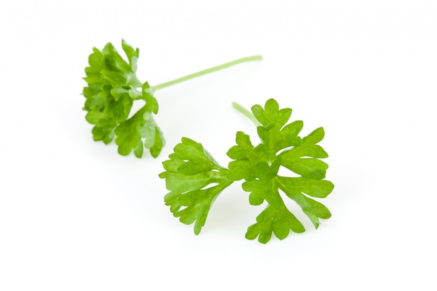 Two chervil sprigs