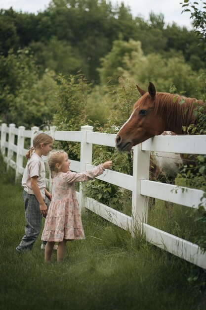 Two children are standing in front of a white fence and one is holding a horse's nose.