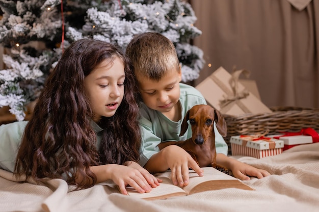 Two children a boy and a girl play with their beloved dog and read a book next to the Christmas tree Pets and children