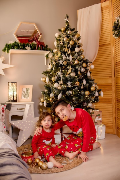 Two children sit near the Christmas tree for christmas and hold gifts in their hands