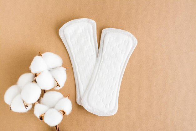 Photo two clean disposable sanitary pads and a branch of cotton on a beige background women's health and comfort concept top view