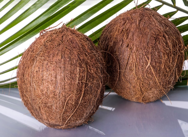 Two coconuts with a palm leaf on a white table close-up.