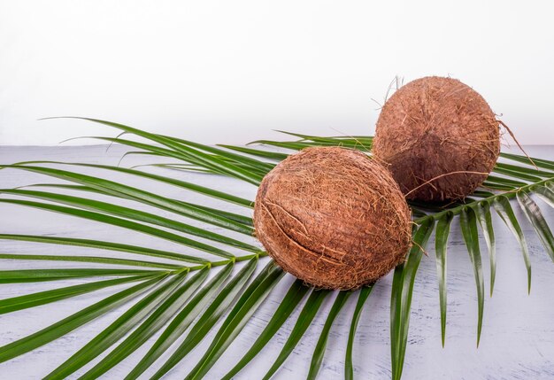 Two coconuts with a palm leaf on a white table.