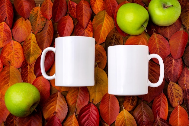 Two coffee white mugs on the red yellow fall leaves background mockup with three green apples. Empty mug mock up for design promotion, styled template