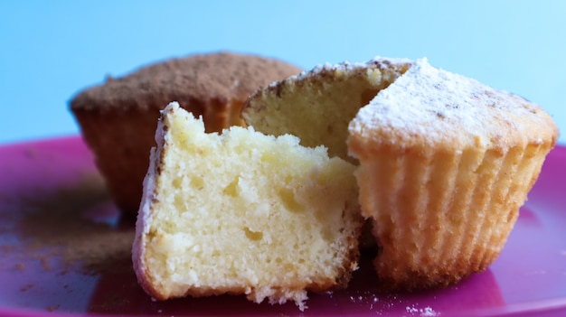 Two curd cakes sprinkled with chocolate and icing sugar on a pink plate, on a blue background. Dessert, a small cupcake. white baked cookies with an airy texture. Food concept.