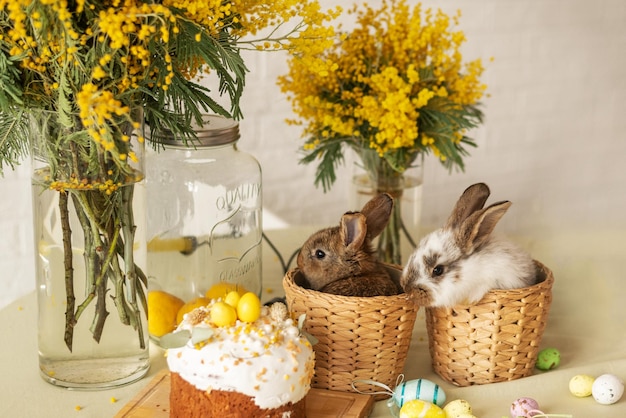 Two cute rabbits are sitting in baskets on the table near the Easter cake Easter background with a bouquet of mimosa