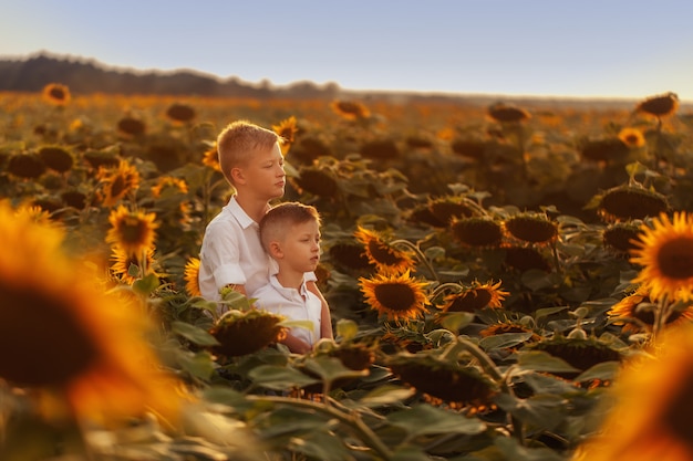 Photo two cute sibling boys hugging and having fun sunflowers field.