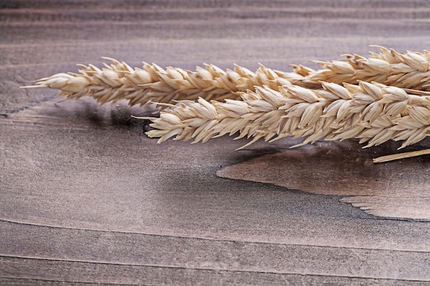 Two ear of wheat on wooden board