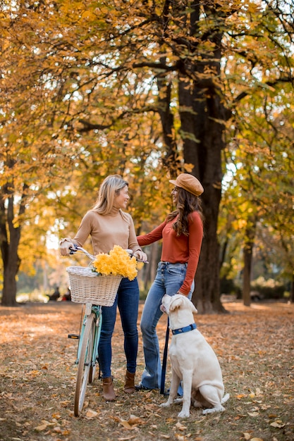 Two female friends walking in the yellow autumn park with dog and bicycle