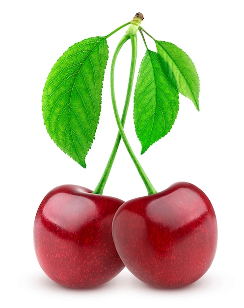 Two fresh cherries on white background