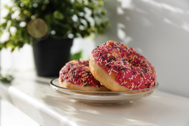 Two fresh donuts with icing and decor on a breakfast plate in the morning sun.