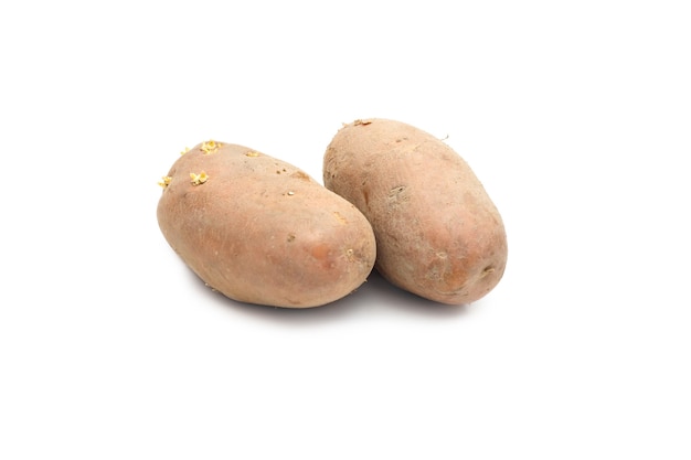 Two fresh potatoes with growing buds on isolated white background