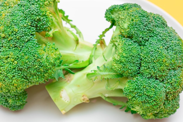 Two Fresh and Raw Pieces of Broccoli on White Plate Uncooked Green Cabbage