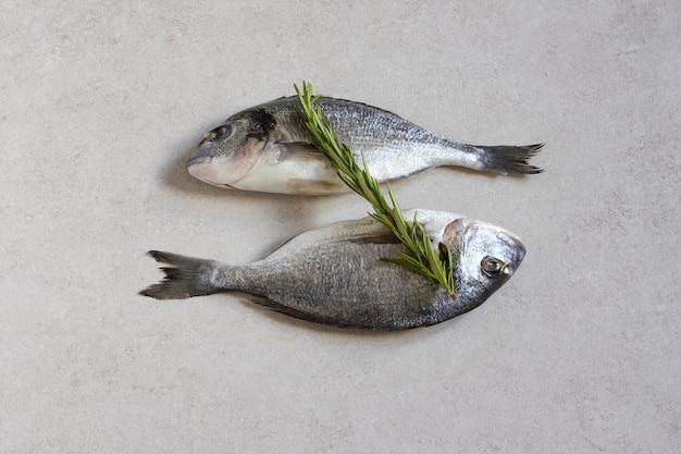 Two fresh raw sea organic dorado or sea bream with spices and lemon on a grey background Copy space