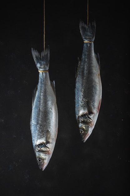 Two fresh seabass fishes hang on a rope on a black background