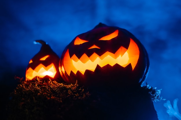 Two glowing orangeblue angry scary pumpkins with smoke jack lantern in the forest concept halloween ...