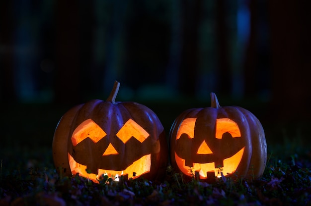 Two Halloween Pumpkins in the park