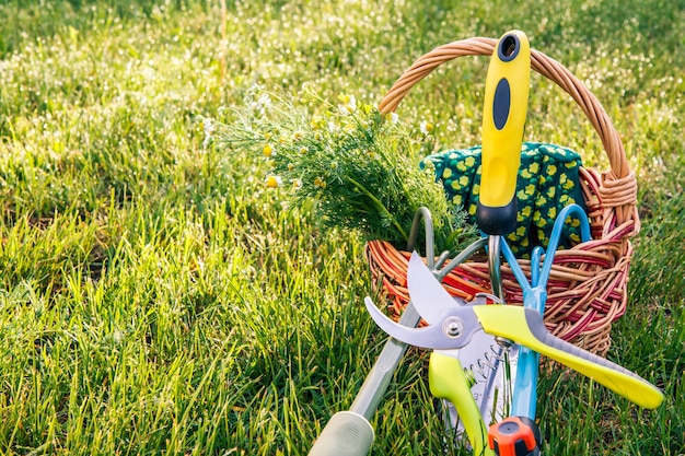 Two hand garden trowels, pruner, gloves and bouquet of field chamomiles in wicker basket with green grass around. Garden tools