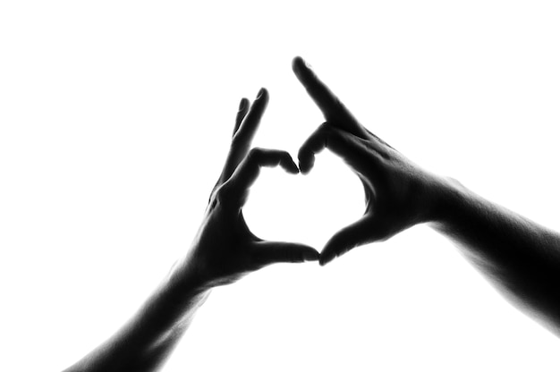 Photo two hands united in a heart on a white background