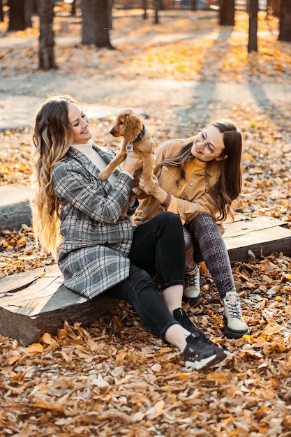 Two happy female friends girls having fun with cute cocker spaniel puppy in autumn park two cheerful