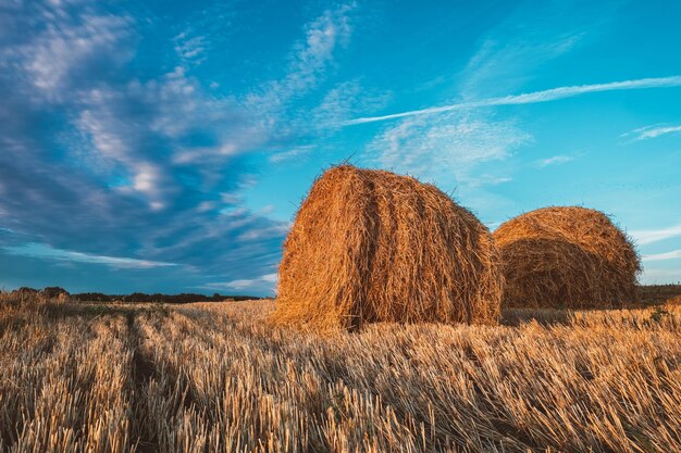 Two hay bales on field in autumn cloudy weather