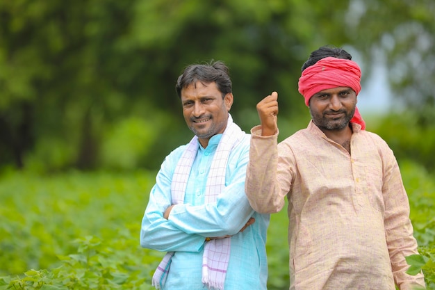 Two indian farmers standing at cotton agriculture field.