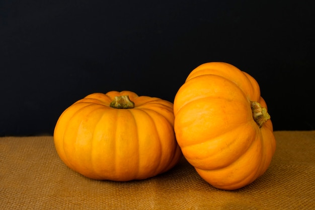 Two large textured orange pumpkinsinon on a dark background.. Autumn harvest. Rustic style