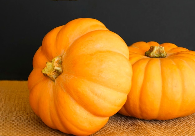 Two large textured orange pumpkinsinon on a dark background.. Autumn harvest. Rustic style