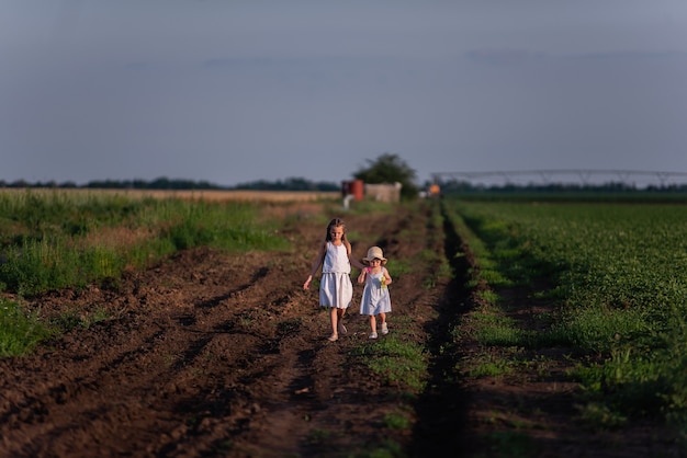 Two little girls in white sundresses are walking in the green field of blooming purple sage.