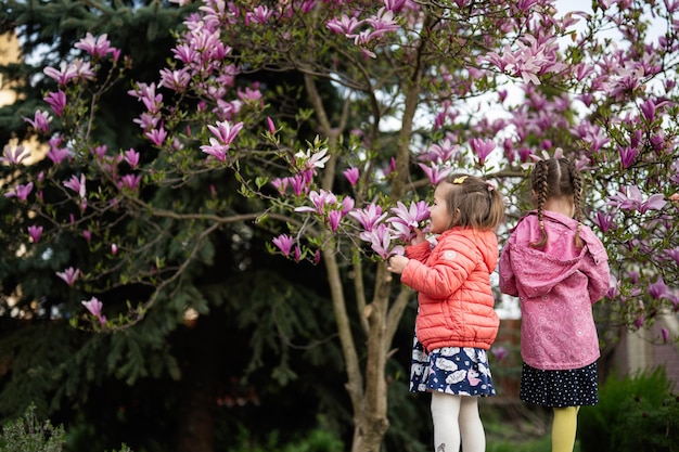 Two little sisters enjoying nice spring day near magnolia blooming tree Springtime activities