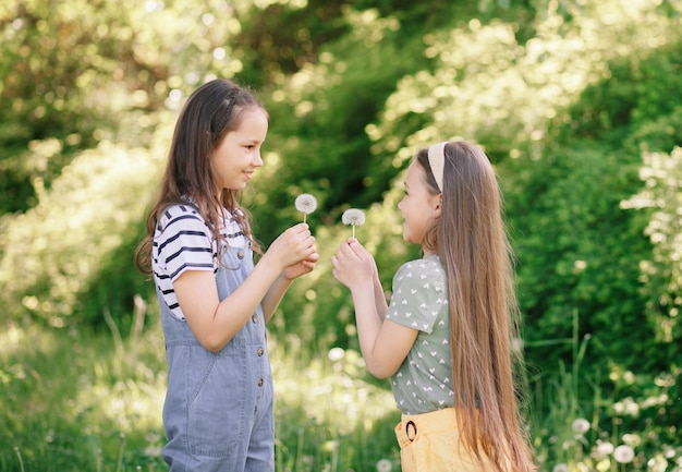 Two little sisters girls in a field play with dandelions