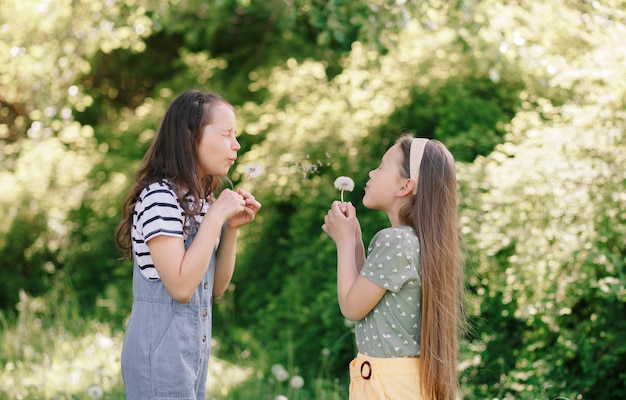 Two little sisters girls in a field play with dandelions