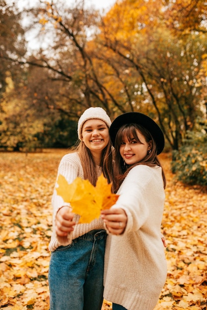 Two longhaired brownhaired women happily indulge holding bright fallen leaves in park in clearing st