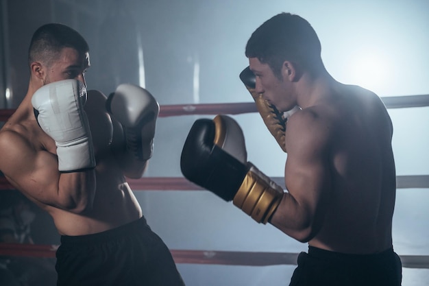 Two muscular mixed martial arts athletes fighting in the ring High quality photography