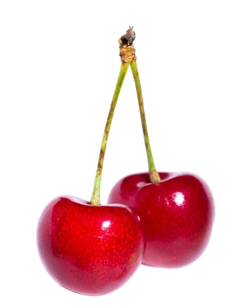 Two organic sweet cherries isolated on a white background