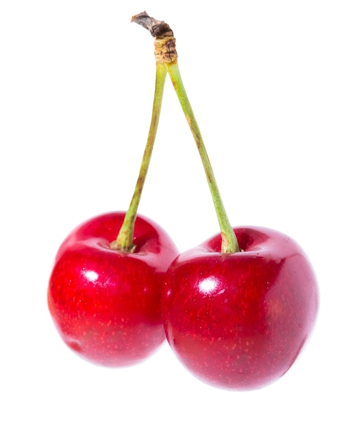 Two organic sweet cherries isolated on a white background