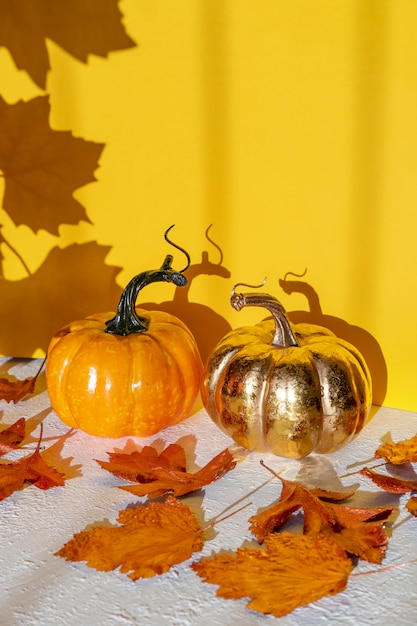 Two painted pumpkins with a shadow from maple leaves 