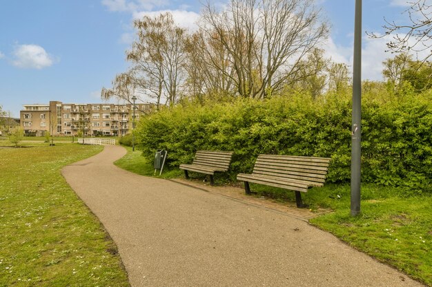 Two park benches next to a path in a park