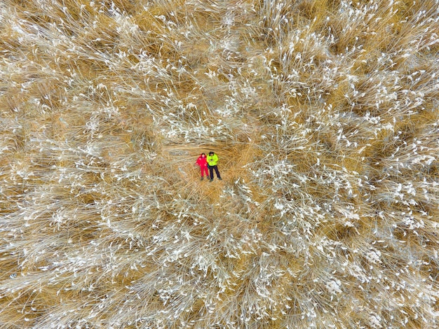 Two people among the winter reeds. aerial photography