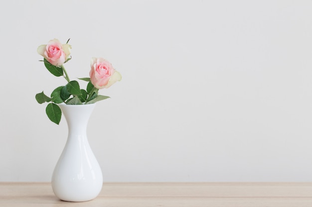 Two pink roses in vase