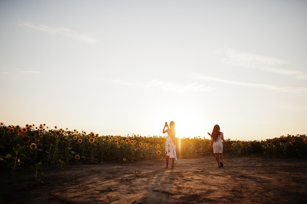 Two pretty young black friends woman wear summer dress pose in a sunflower field.