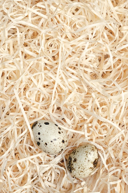 Two quail eggs in a wood wool nest from above