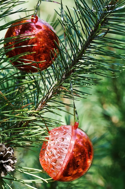 Two red balls on christmas tree