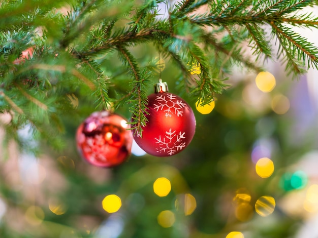 Two red balls on natural christmas tree branch