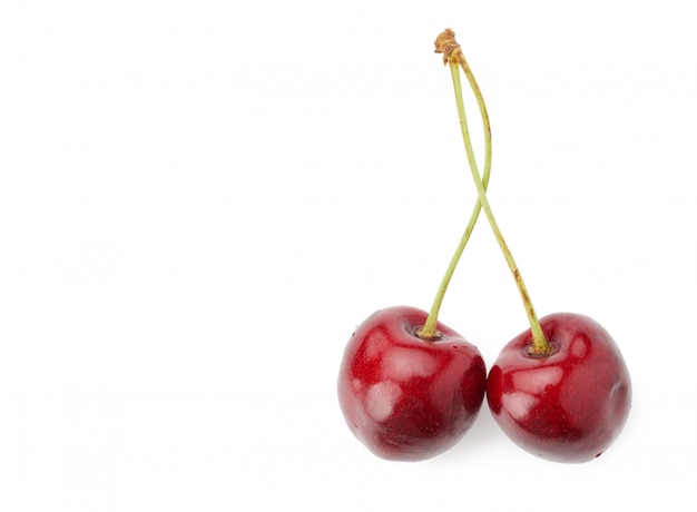 Two red connected sweet cherries isolated on a white background, tasty and ripe fruit, copy space