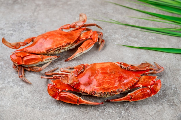 Two red steamed crabs on a grey background.