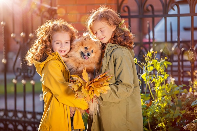 Two redhaired girls are walking down the street on a sunny autumn day Walking with a small fluffy Pomeranian dog