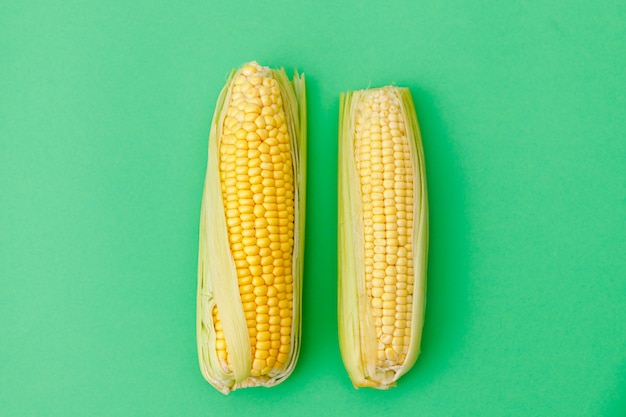 Two ripe corn on the cob with green leaves