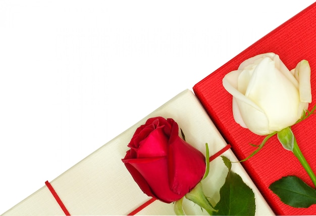 Two roses on paper boxes