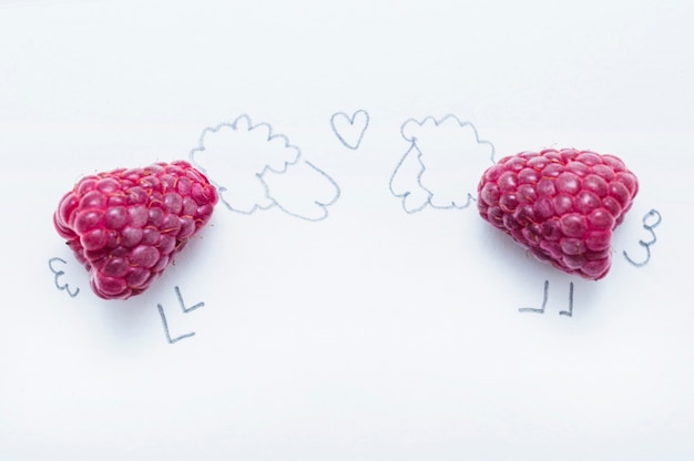 Two sheep made with raspberries on white background